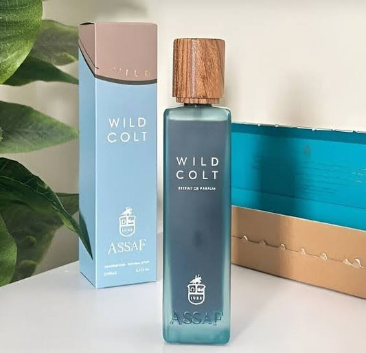Wild Cold | عطر وايلد كولد عساف - 200 مل